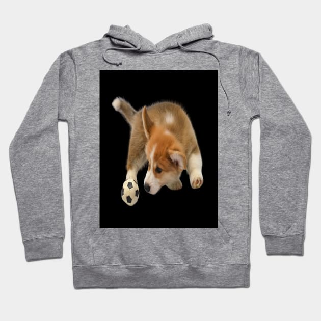 Puppy with a ball to play Hoodie by KA&KO